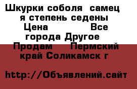 Шкурки соболя (самец) 1-я степень седены › Цена ­ 12 000 - Все города Другое » Продам   . Пермский край,Соликамск г.